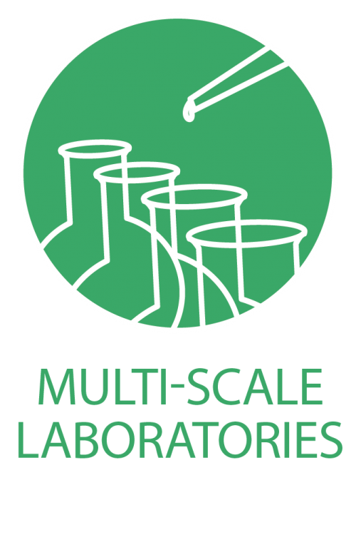 MSL TCS Logo green